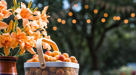 Similar image 22283991