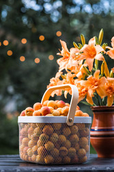 Similar image 22283993