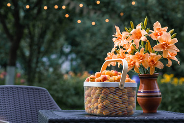 Similar image 22283994