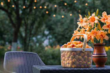 Similar image 22283995