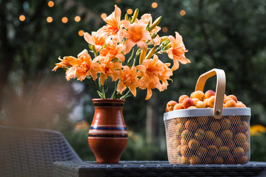 Similar image 22283996