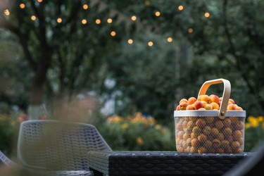 Similar image 22283997