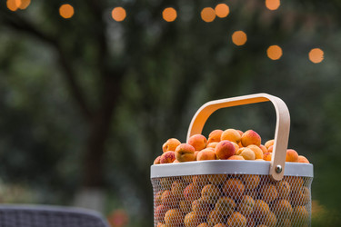 Similar image 22283999