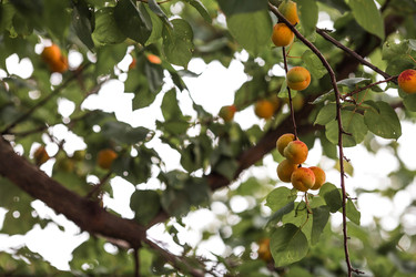 Similar image 22284002