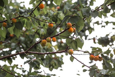 Similar image 22284003