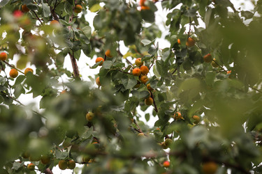 Similar image 22284005