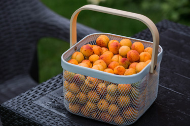 Similar image 22284007