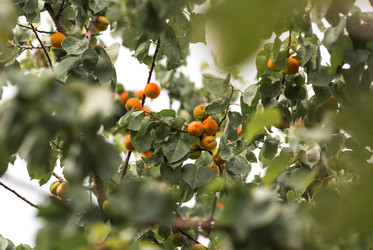 Similar image 22284009