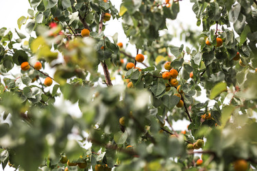 Similar image 22284010