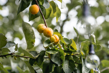 Similar image 22284011