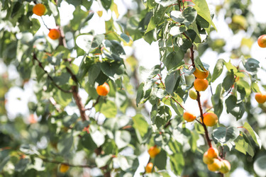 Similar image 22284013