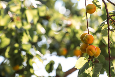 Similar image 22284014