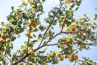 Similar image 22284015