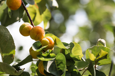 Similar image 22284017