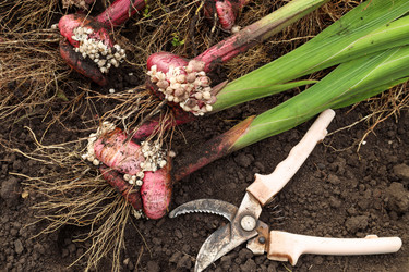 Similar image 22282858