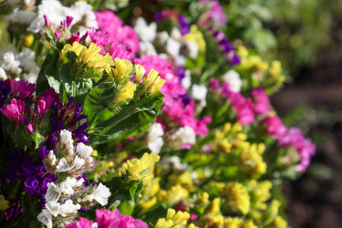 Similar image 22282859