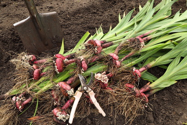 Similar image 22282860