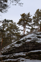 Similar image 22282863