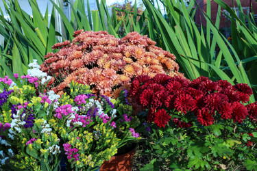 Similar image 22282865