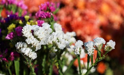 Similar image 22282866