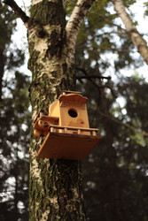 Similar image 22282871