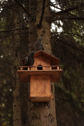 Similar image 22282872