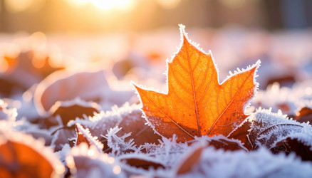 Similar image 22284913