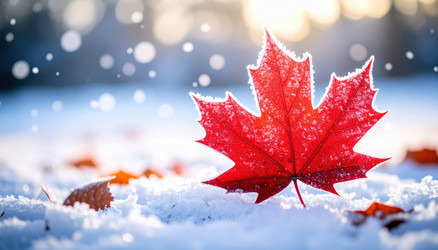 Similar image 22284939