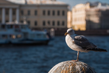 Similar image 22284024