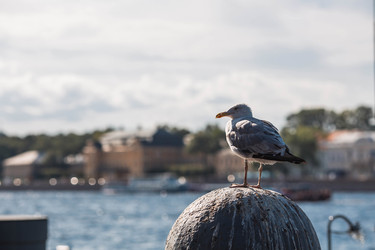 Similar image 22284025