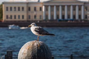 Similar image 22284026