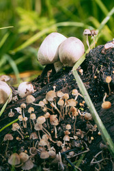 Similar image 22283217