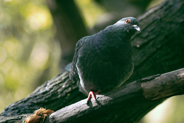 Similar image 22283218