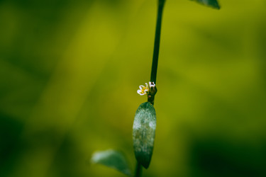 Similar image 22285580