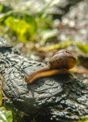 Similar image 22285581