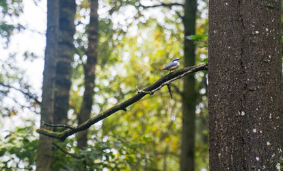 Similar image 22283219