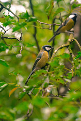 Similar image 22283221