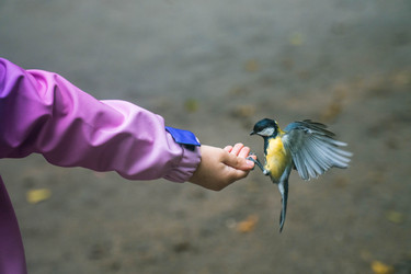 Similar image 22283222