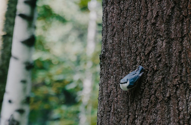 Similar image 22283223