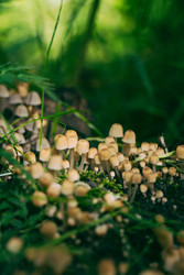 Similar image 22283224