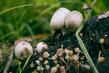 Similar image 22283225