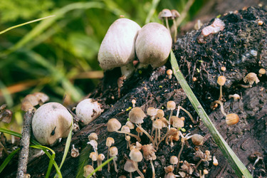 Similar image 22283226