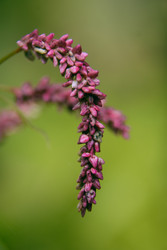 Similar image 22283227