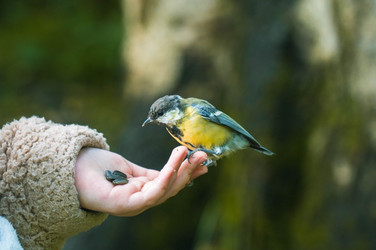 Similar image 22283228