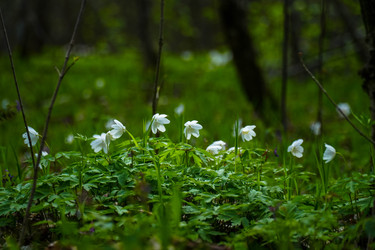 Similar image 22283232