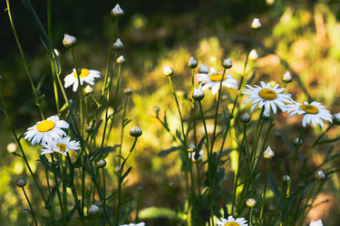 Similar image 22283233