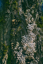 Similar image 22283237