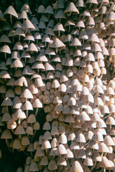 Similar image 22283238