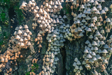 Similar image 22283239