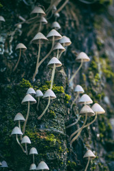 Similar image 22283240